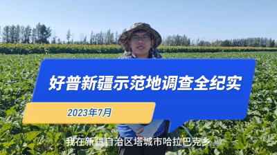 好普新疆示范地調(diào)查全紀實2023.7