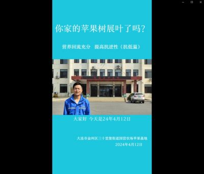 提高抗逆性、營(yíng)養(yǎng)回流：大連市金州區(qū)三十里堡街道（2024.4.12）