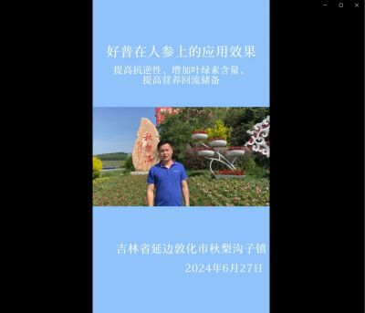 提高抗逆性、增加葉綠素含量、提高營(yíng)養(yǎng)回流儲(chǔ)備:吉林省敦化市（2024.6.27）